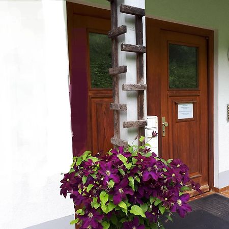 Ferienapartment 38 Sonnenwald Langfurth  Ngoại thất bức ảnh